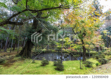 Saihoji Kokedera Temple 120998409