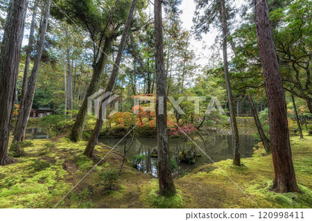 Saihoji Kokedera Temple Saihoji Kokedera Temple 120998411