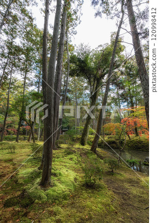 Saihoji Kokedera Temple 120998412
