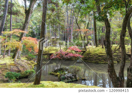 Saihoji Kokedera Temple Saihoji Kokedera Temple 120998415