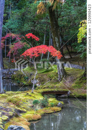 Saihoji Kokedera Temple Saihoji Kokedera Temple 120998423