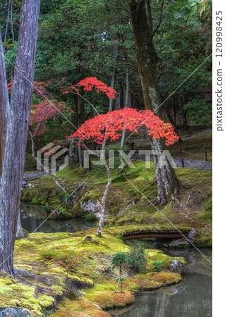 Saihoji Kokedera Temple Saihoji Kokedera Temple 120998425