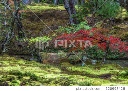Saihoji Kokedera Temple Saihoji Kokedera Temple 120998426