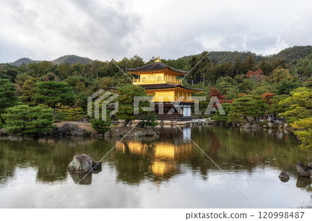 Kinkakuji golden pavilion during autumn 120998487