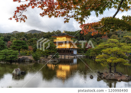 Kinkakuji golden pavilion during autumn 120998490