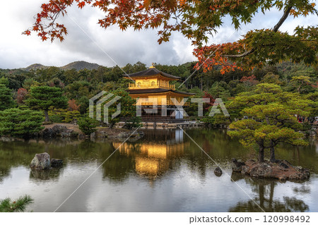 Kinkakuji golden pavilion during autumn Kinkakuji golden pavilion during autumn 120998492