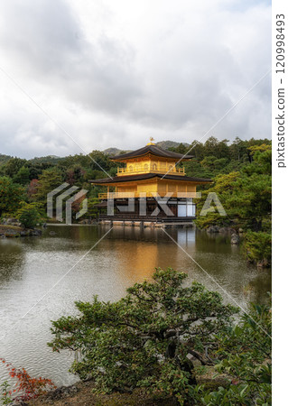 Kinkakuji golden pavilion during autumn 120998493