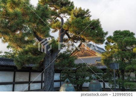 Nijo Castle Ninomaru Goten Palace 120998501