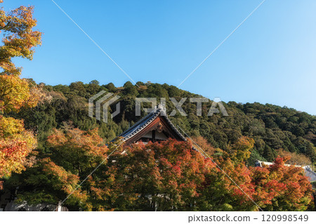 Eikando Temple or Zenrinji Autumn Season 120998549