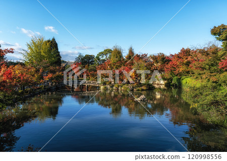 Eikando Temple or Zenrinji Hojo Pond Autumn 120998556