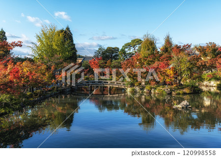 Eikando Temple or Zenrinji Hojo Pond Autumn Eikando Temple or Zenrinji Hojo Pond Autumn 120998558