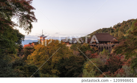 Kiyomizudera Hondo Main Hall Kiyomizudera Hondo Main Hall 120998601