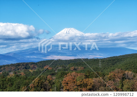 Mount Fuji View Mishima Skywalk Mount Fuji View Mishima Skywalk 120998712