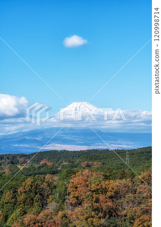 Mount Fuji View Mishima Skywalk 120998714