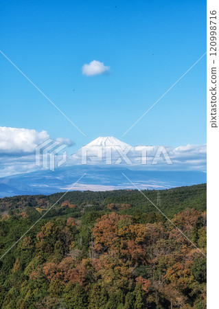 Mount Fuji View Mishima Skywalk 120998716