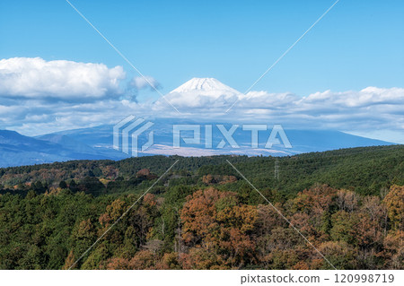 Mount Fuji View Mishima Skywalk Mount Fuji View Mishima Skywalk 120998719