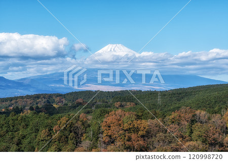 Mount Fuji View Mishima Skywalk 120998720