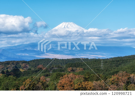 Mount Fuji View Mishima Skywalk 120998721