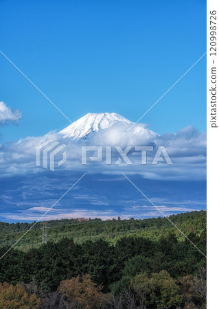 Mount Fuji View Mishima Skywalk 120998726