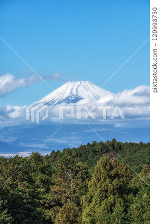 Mount Fuji View Mishima Skywalk 120998730