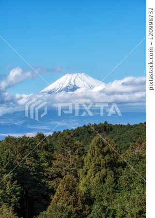 Mount Fuji View Mishima Skywalk 120998732
