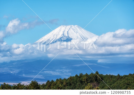 Mount Fuji View Mishima Skywalk 120998735