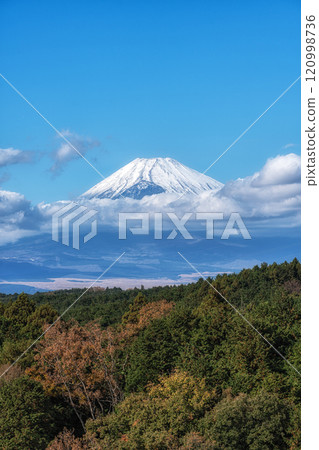 Mount Fuji View Mishima Skywalk 120998736