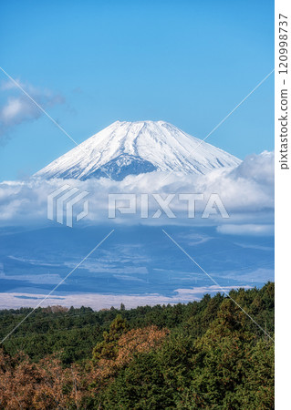 Mount Fuji View Mishima Skywalk 120998737
