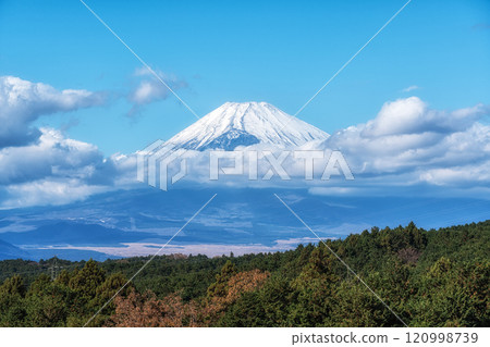 Mount Fuji View Mishima Skywalk 120998739