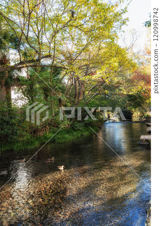 Mishima Genbei River Walk Mishima Genbei River Walk 120998742