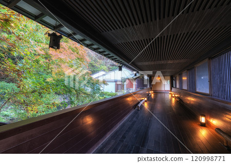 Yoshina River Autumn Scenery 120998771