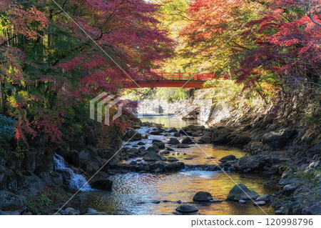 Katsura River Autumn Foliage Scenery 120998796