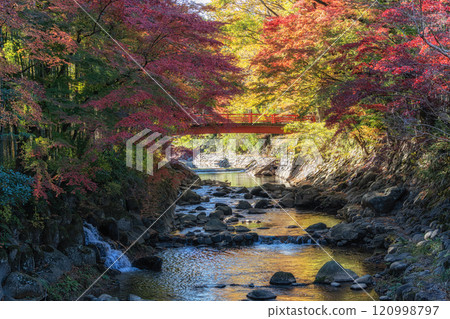 Katsura River Autumn Foliage Scenery 120998797