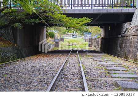 [Keage Incline] Impressive scenery of young leaves and fresh greenery 120999337