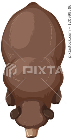 Top View of a Brown Bear Top View of a Brown Bear 120999386