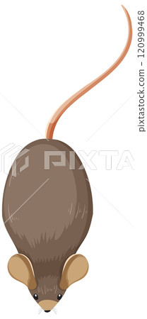 Top View of a Mouse Illustration 120999468