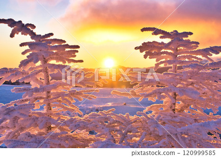 Sunrise rising from frost Sunrise rising from frost 120999585