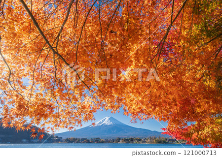 「山梨縣」河口湖和富士山的紅葉 121000713