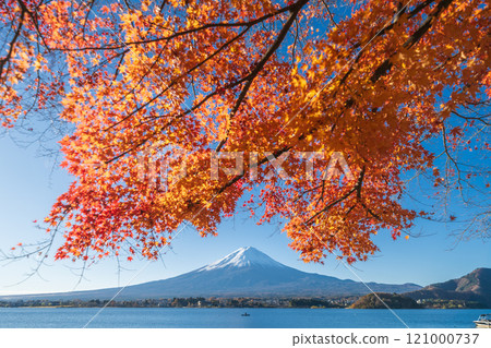 "Yamanashi Prefecture" Lake Kawaguchi and Mt. Fuji in autumn 121000737