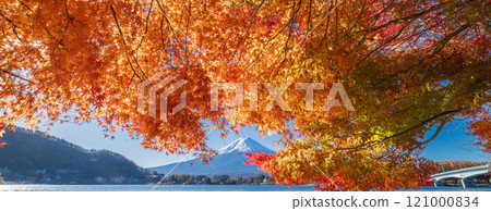 "Yamanashi Prefecture" Lake Kawaguchi and Mt. Fuji in autumn 121000834