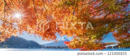 "Yamanashi Prefecture" Lake Kawaguchi and Mt. Fuji in autumn 121000835