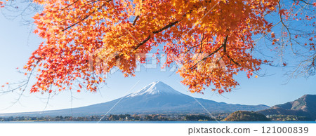 "Yamanashi Prefecture" Lake Kawaguchi and Mt. Fuji in autumn "Yamanashi Prefecture" Lake Kawaguchi and Mt. Fuji in autumn 121000839