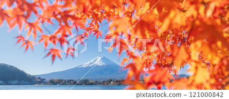"Yamanashi Prefecture" Lake Kawaguchi and Mt. Fuji in autumn "Yamanashi Prefecture" Lake Kawaguchi and Mt. Fuji in autumn 121000842