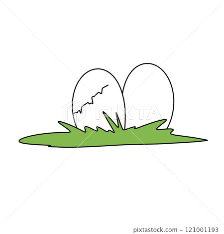Two eggs are laying on the grass 121001193