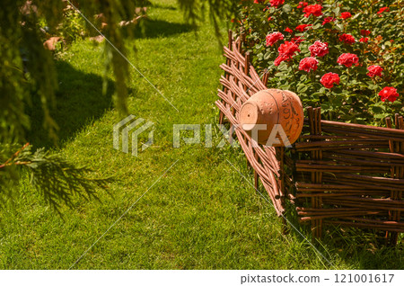 an earthenware jug on the fence. red roses behind a wicker fence. 121001617