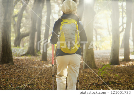 Senior woman hiking, back view 121001723