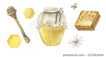 Honey food watercolor collection with honey glass jar,honeycomb slice, bee insect, wooden dipper and chamomile flowers. Hand drawn isolated elements for packing concept design. 121002604
