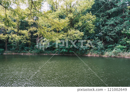 [Osaka Expo Park] Beautiful scenery in the park 121002649