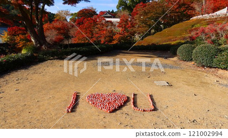 勝尾寺秋葉 121002994