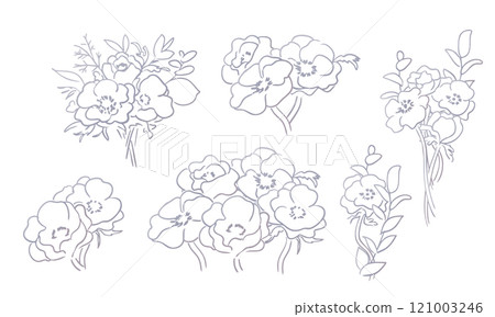 非洲菊的向量圖。簡單的線條畫花卉和植物背景。時尚的植物背景。 121003246